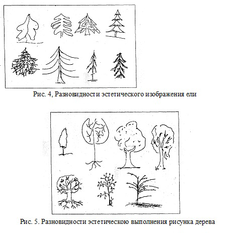 Тест с рисунком дерева психологический