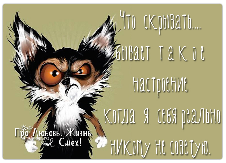 Картинка бывает. Что скрывать бывает такое настроение когда я себя. Настроение. Настроение бывает. Бывает такое настроение когда я себя никому не советую.