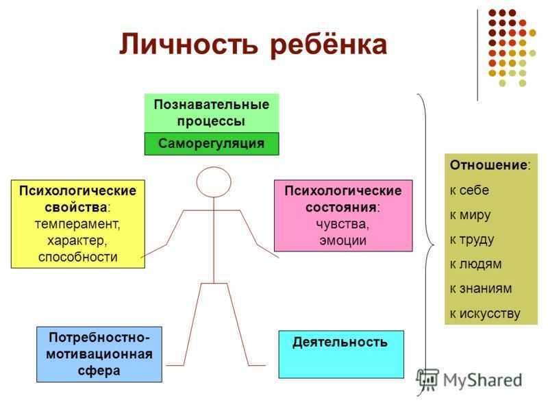 Социальный портрет личности схема