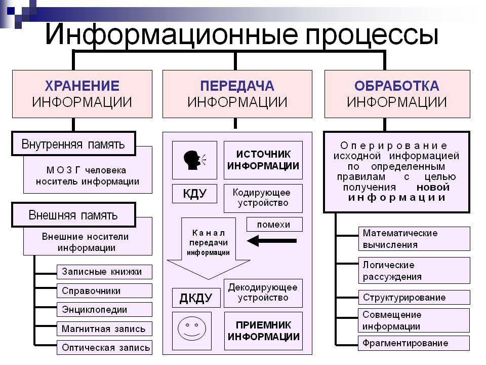 Какие информационные процессы показаны на рисунке напиши в тетради