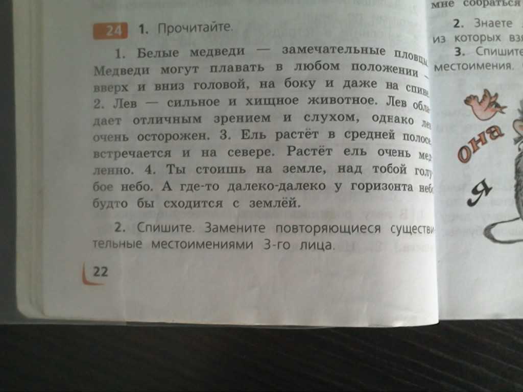 Все ли правильно обозначено на рисунке исправь ошибки если они есть окружающий мир 2 класс