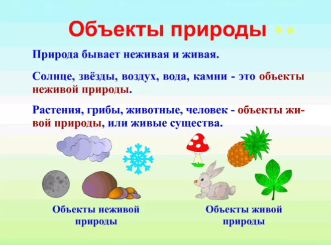 Что значит живые слова. Объекты природы. Объекты неживой природы. Предметы и явления неживой природы. Объекты явления живой и неживой природы.