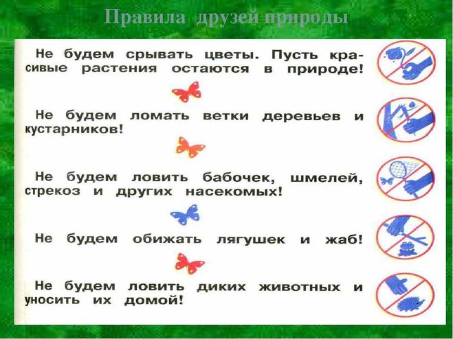 Составь памятку как вести себя на лугу к правилам поведения нарисуй условные знаки