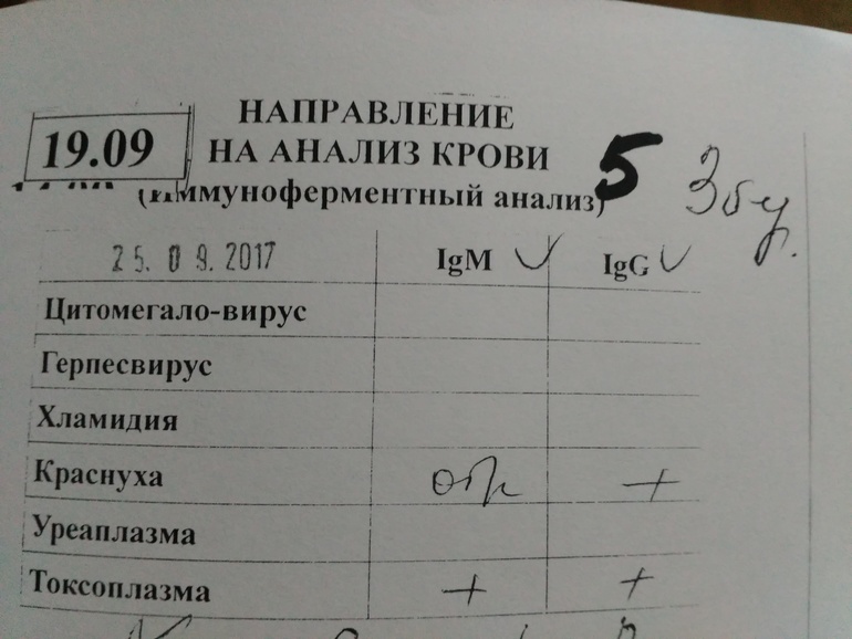 Как сдается анализ на глистов. Исследование крови на гельминтозы. Анализы на паразитов. Анализ на глистов по крови.