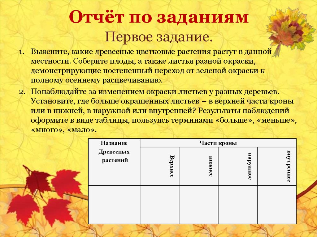 Составить план конспект экскурсии в природу осень