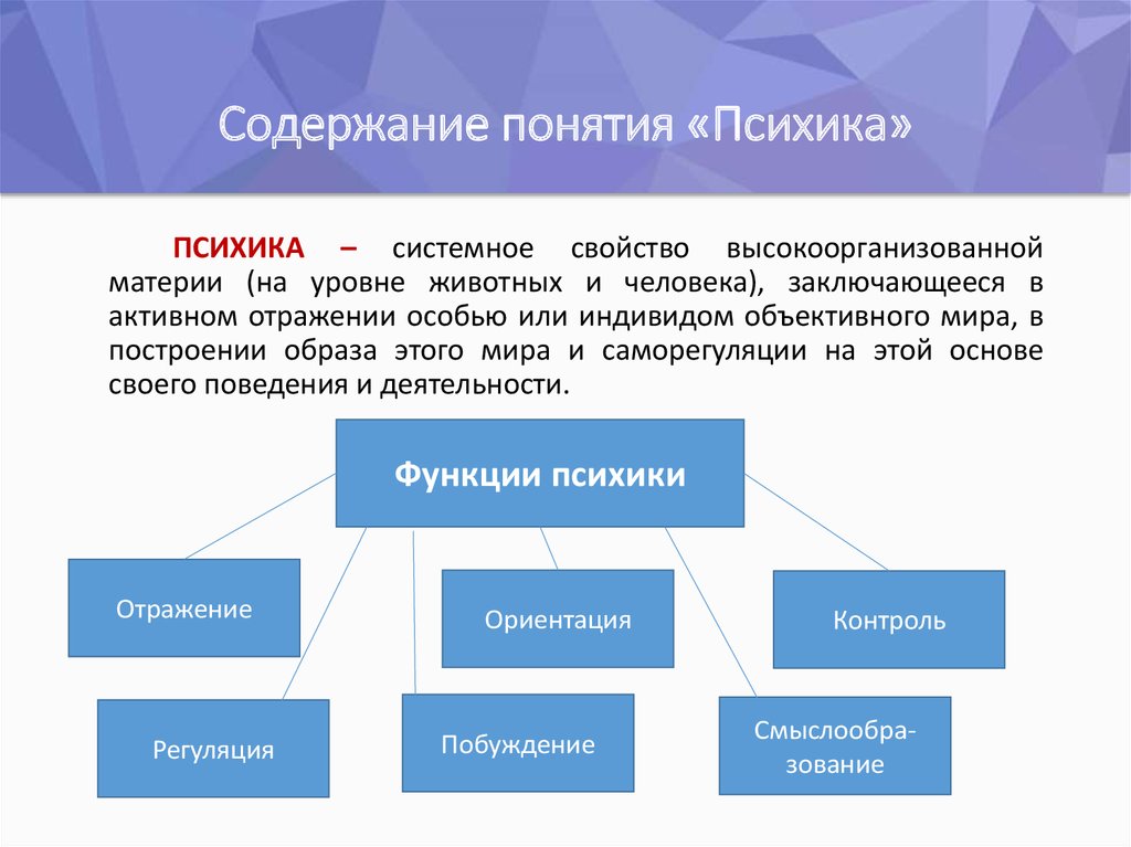 Психика презентация по психологии