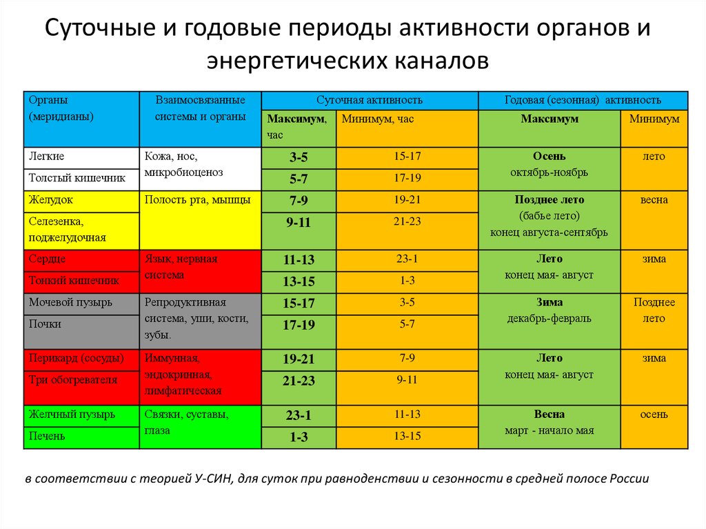 Биологические часы или как прожить долго презентация