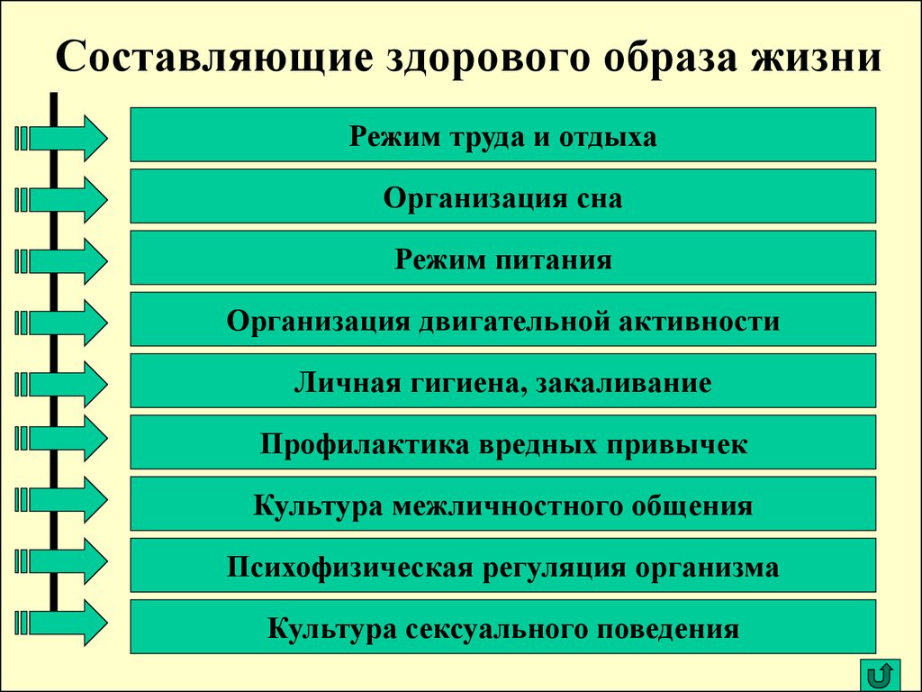 Основные составляющие здорового образа жизни схема