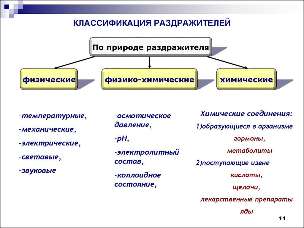 Классификация понятия человек