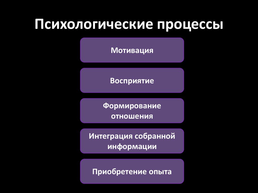 Процессы психики. Психологические процессы. Психологические процессы восприятия. Основные элементы процесса восприятия. Внутренние психологические процессы.