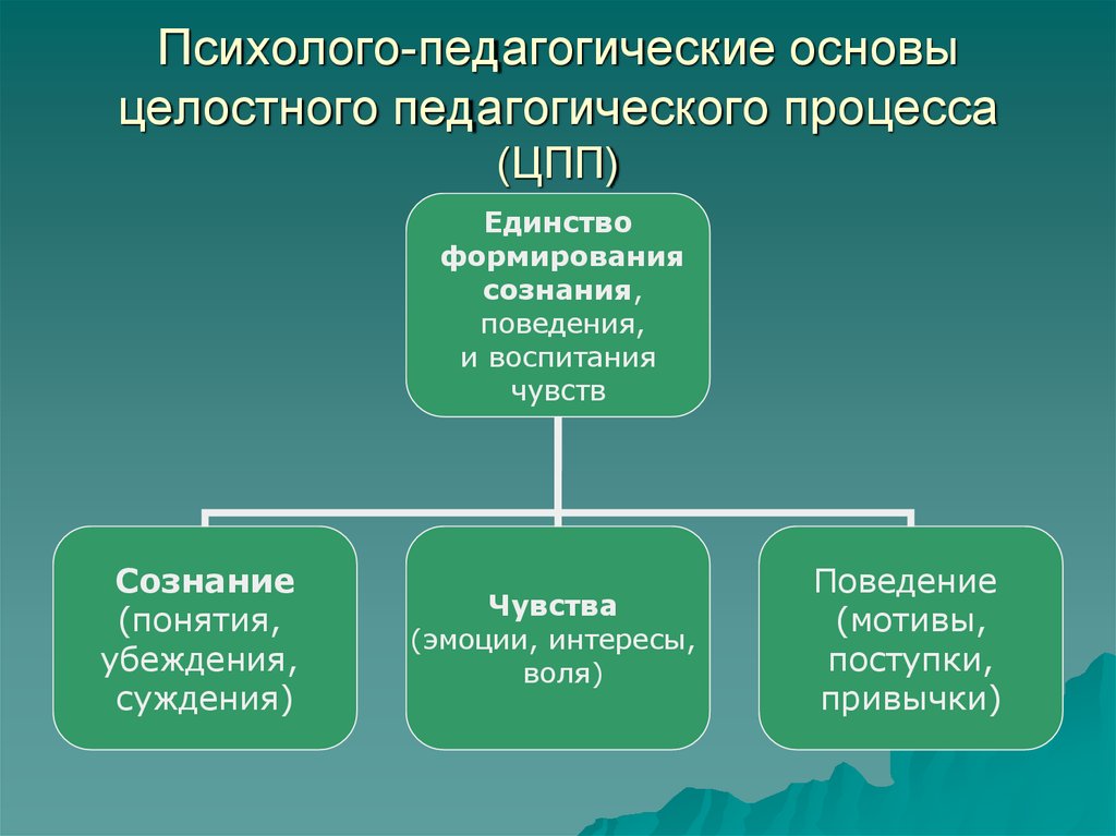 Педагогически организованный процесс. Психолого-педагогические основы. Психолого-педагогические основы преподавания. Психолого педагогические основания это. Психолого педагогические основы педагогического процесса.