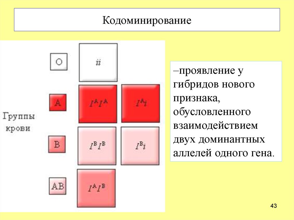 Схема наследования групп крови