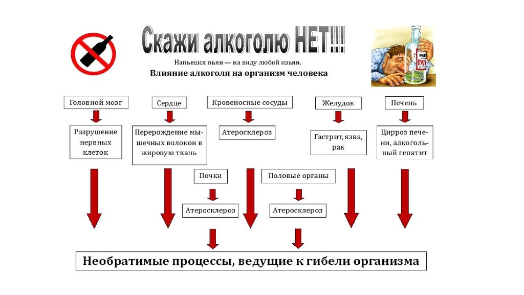 Рассмотрите схему подготовьте краткую справку на какие системы органов влияет отрицательно алкоголь