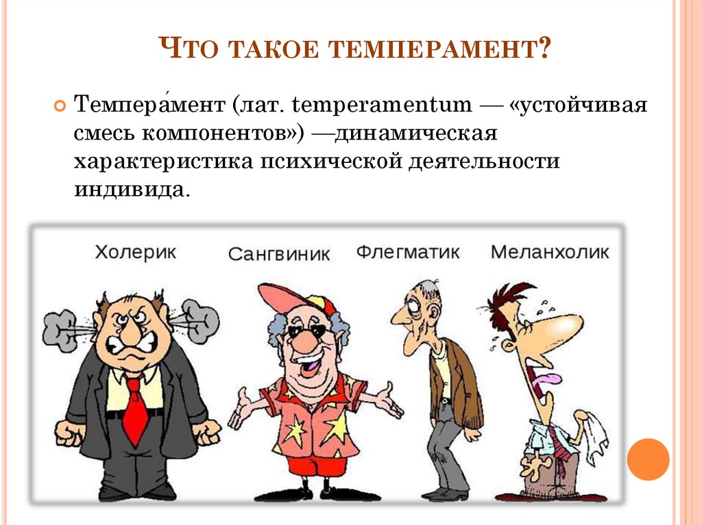 Презентация на тему сангвиник