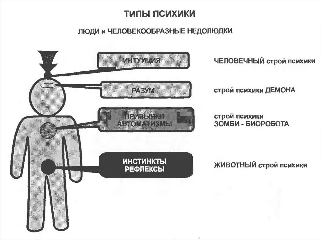 Тип строй. Типы строя психики человека. Типы строя психики КОБ. Психика схема. Схема человеческой психики.