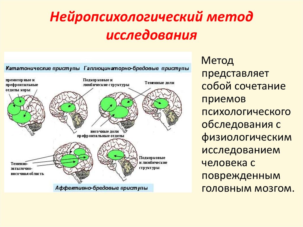 Факторы диагностики. Схема нейропсихологического обследования. Нейропсихологический метод исследования. Методы нейропсихологического исследования. Методы нейропсихологической диагностики.