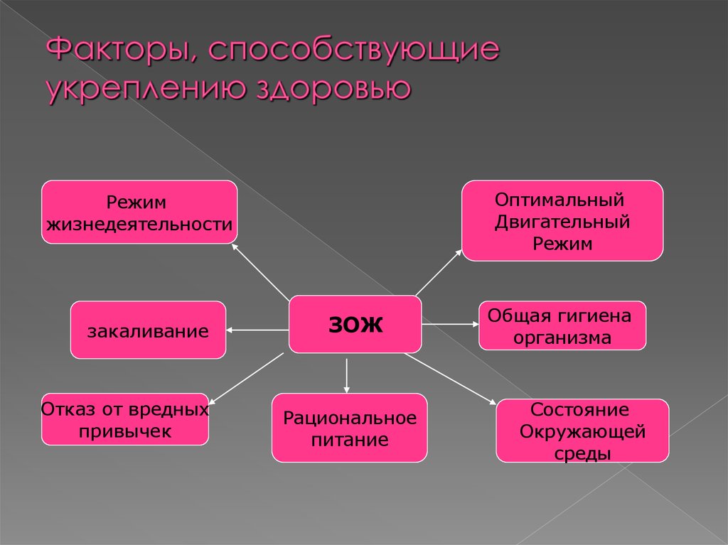 Презентация здоровый образ жизни и безопасность жизнедеятельности обж 8 класс презентация