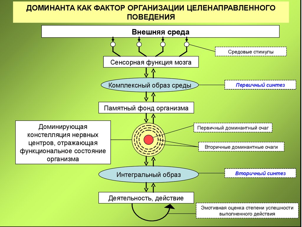 Фактор фирма. Врожденные и приобретенные формы поведения. Врожденное и приобретенное поведение. Формы поведения организма. Формы поведения физиология.