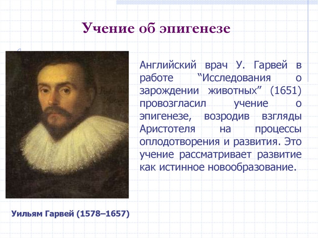 Эпигенез. Эпигенез Гарвей. Уильям Гарвей эпоха Возрождения. Исследования о зарождении животных. Исследования о зарождении животных Гарвей.