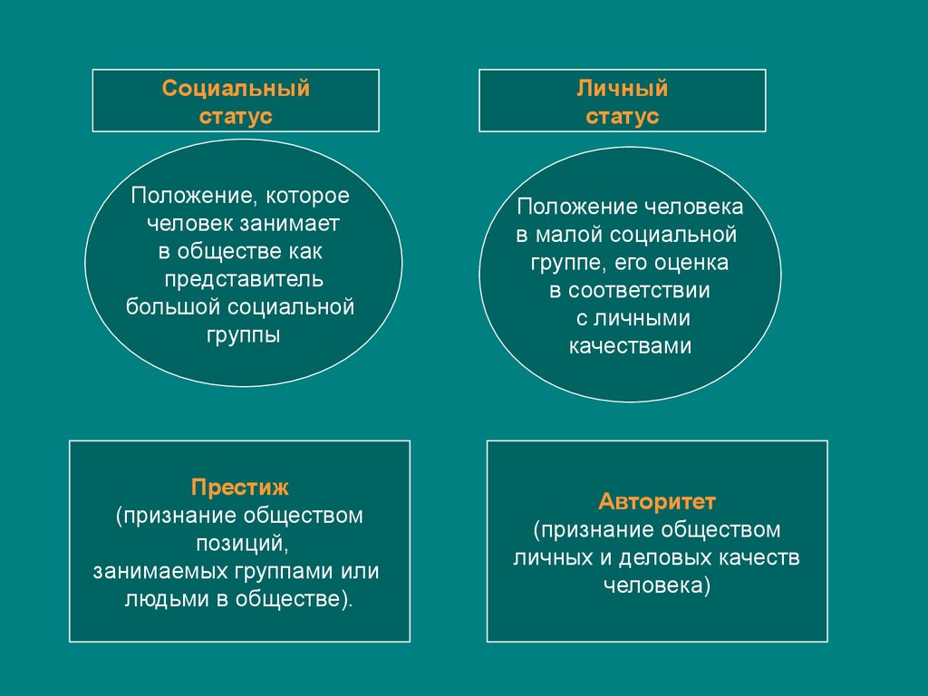 План социальный статус и социальная роль обществознание егэ