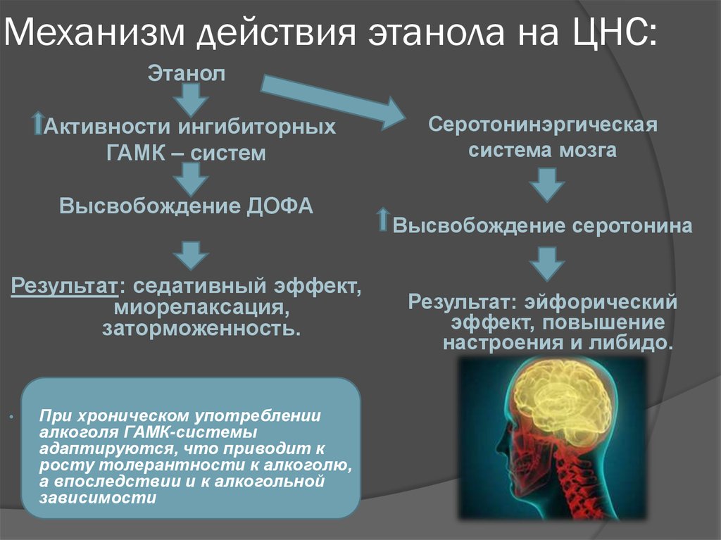 Патогенез алкоголизма схема