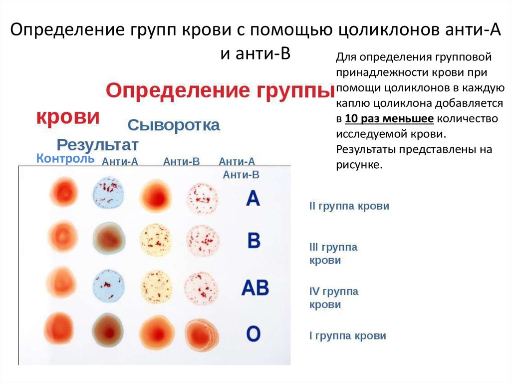 Группа крови картинки определение