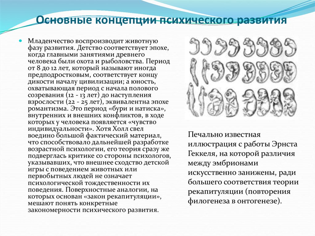 Теория психологические развития. Основные концепции психического развития. Теории психического развития человека. Основные концепции психического развития человека. Основные теории психического развития.