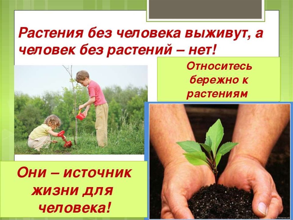 Охрана природы презентация для детей