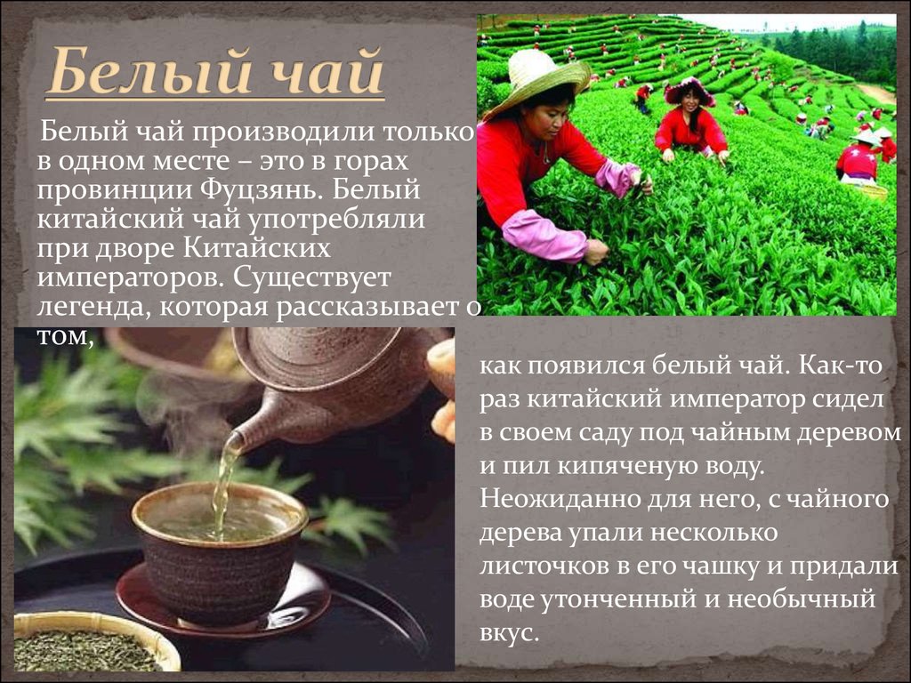 Чай пей что значит. Изобретение чая в древнем Китае. Изобретение китайцев чай. Чай в Китае презентация. Китайская Легенда о чае.