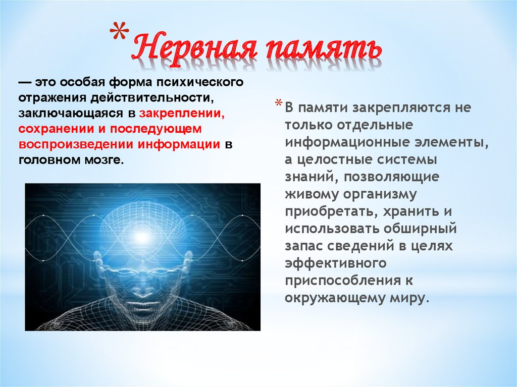 Передаваемая память это. Нервная память. Физиология памяти человека. Нервная система память. Классификация памяти физиология.