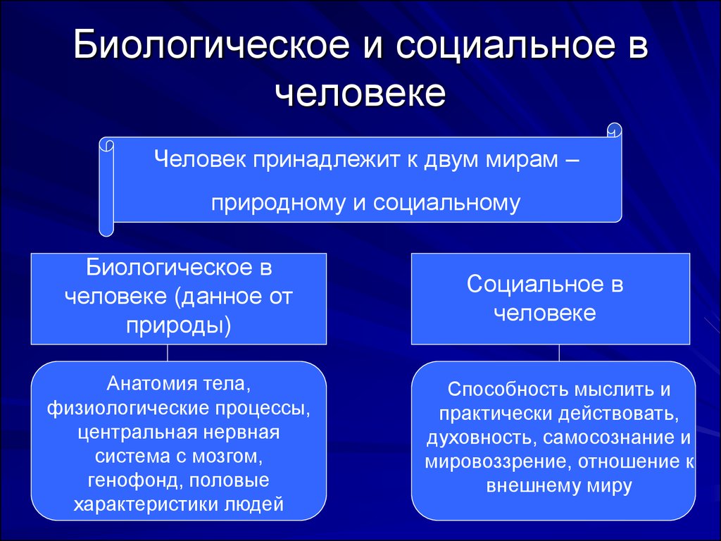 Проект на тему человек существо социальное