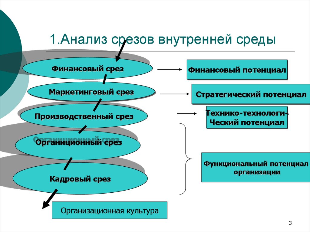 Метод срезов в психологии