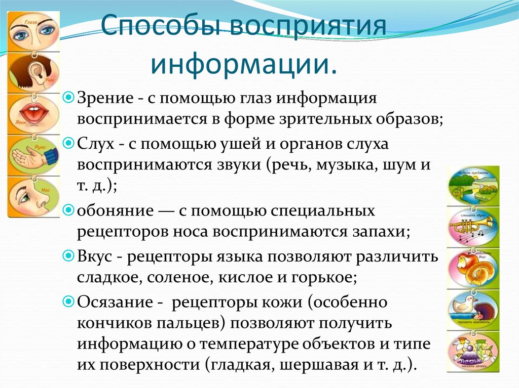 Пути восприятия. Способы восприятия информации. Зрительный способ восприятия информации. Способ восприятия информации зрение. Методы и способы восприятия информации.