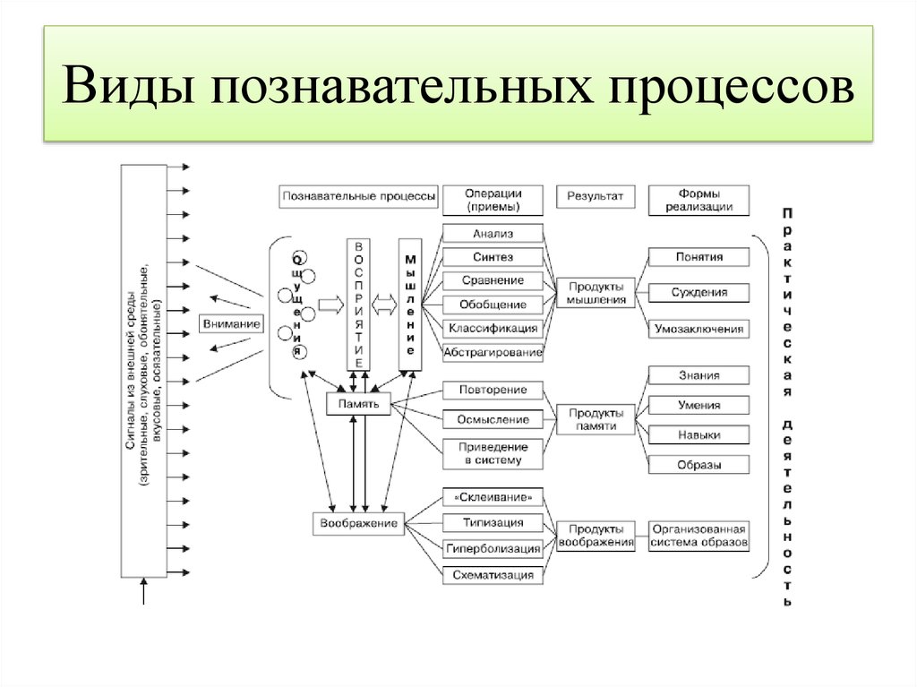 Раскройте влияние действий с предметами на развитие психики младенца составьте логическую схему