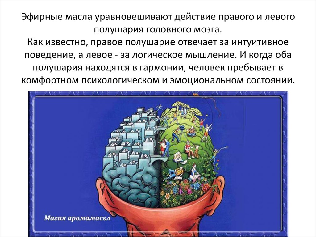 Ведущее полушарие мозга. Левое и правое полушарие мозга. Правое полушарие мозга отвечает. Головной мозг левое и правое полушарие. За что отвечает левое полушарие.