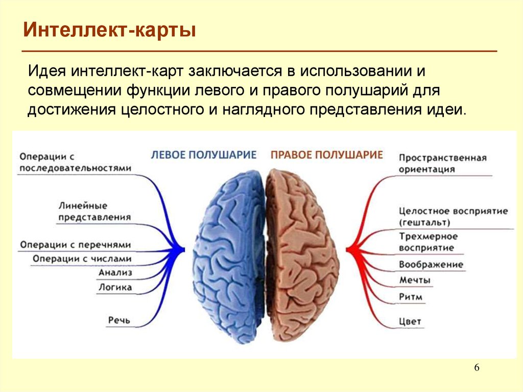 Карта правое полушарие