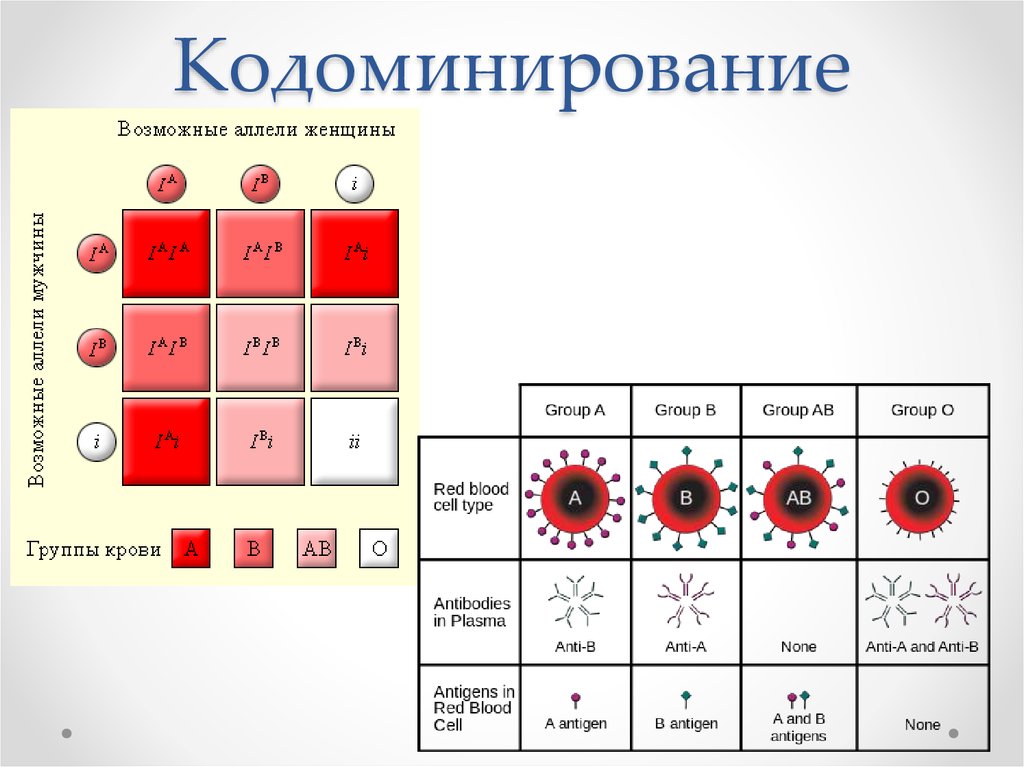 Схема наследования группы крови