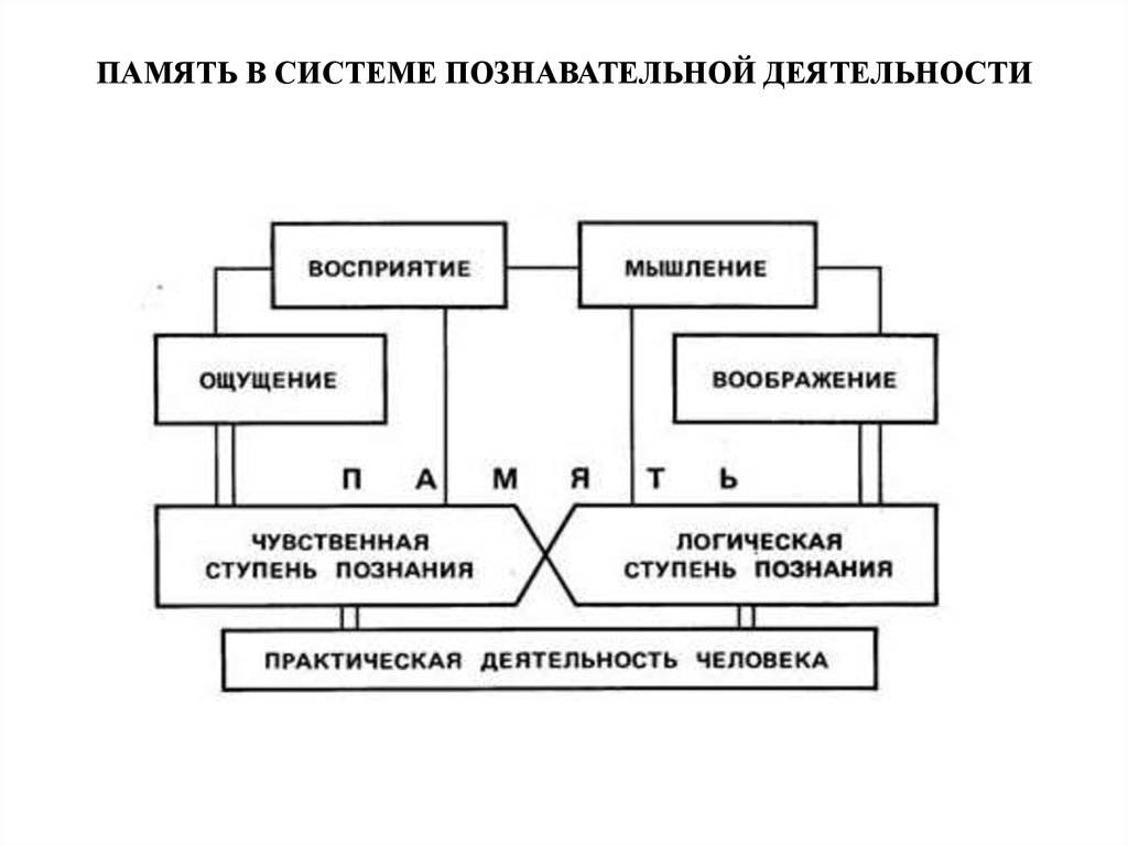 Схема познавательная активность