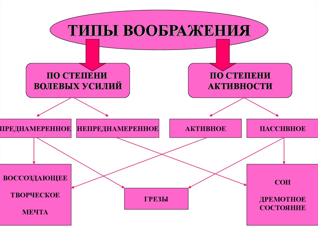 Физиологические основы воображения презентация