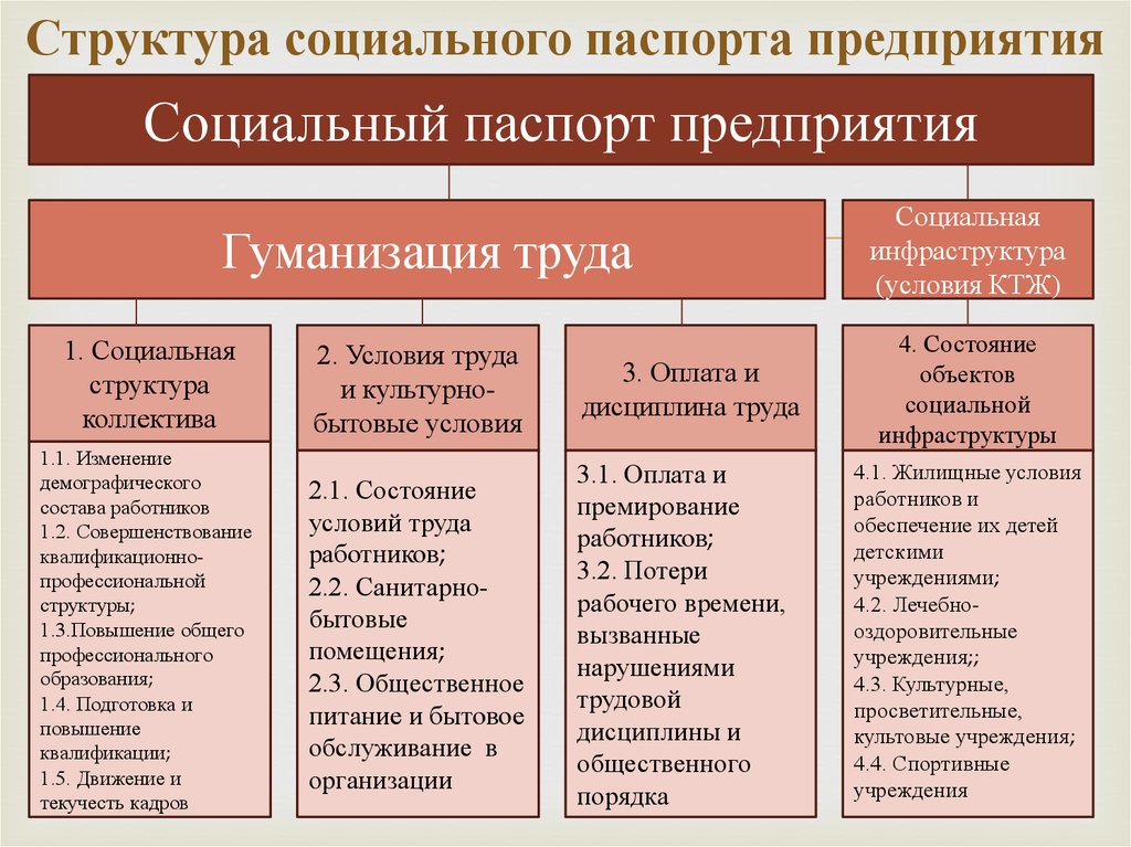 Социальный паспорт организации образец