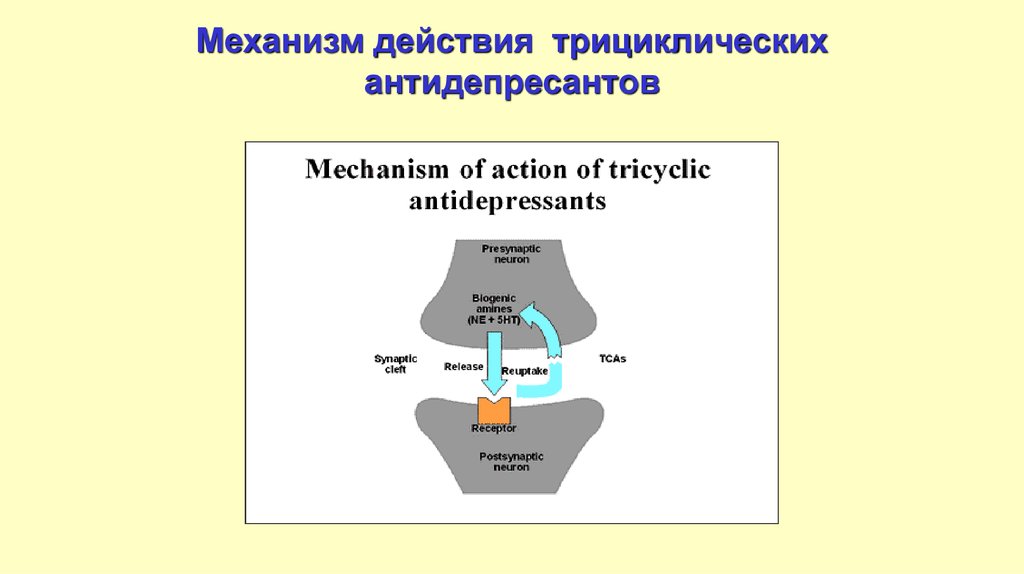 Работа антидепрессантов. Механизм действия трициклических антидепрессантов. Механизм действия антидепрессантов. Механизм действия пазлы. Как работают антидепрессанты.