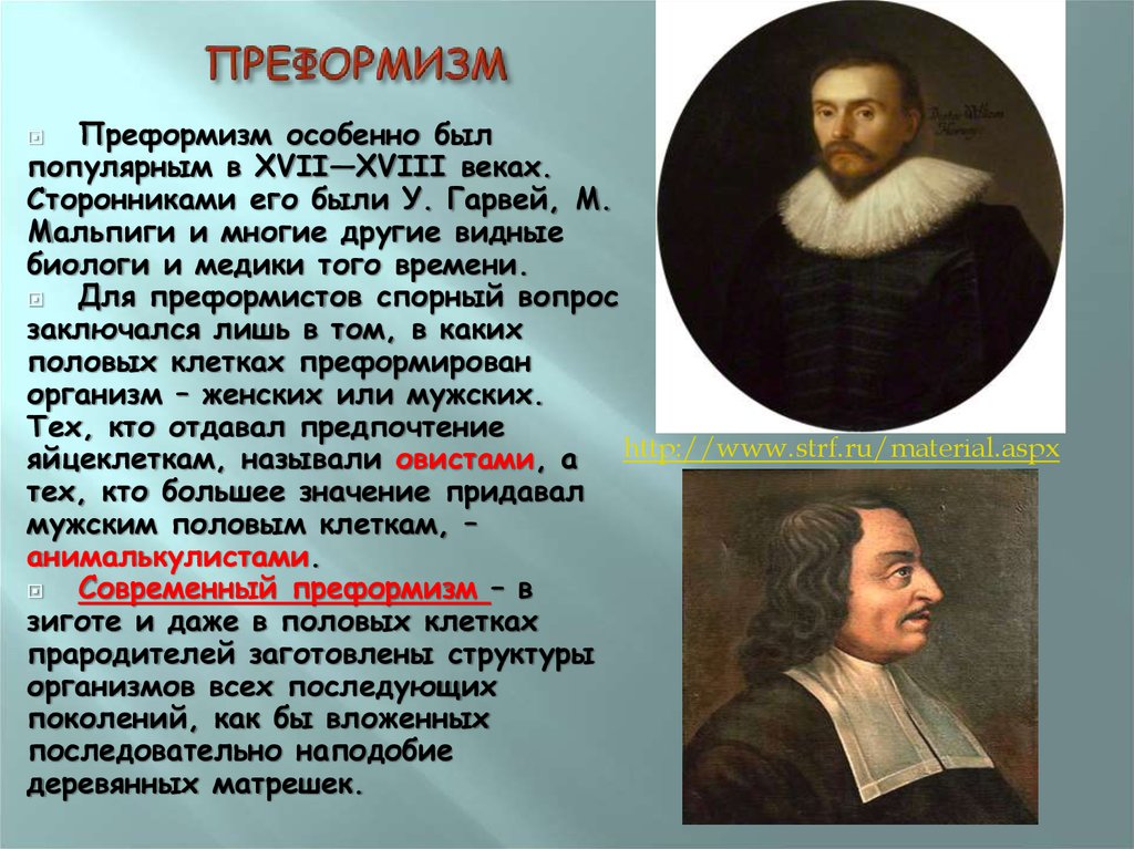 Эпигенез. Преформизм. Теория преформизма. Теория преформизма основывается на взглядах. Основоположник теории преформизма.