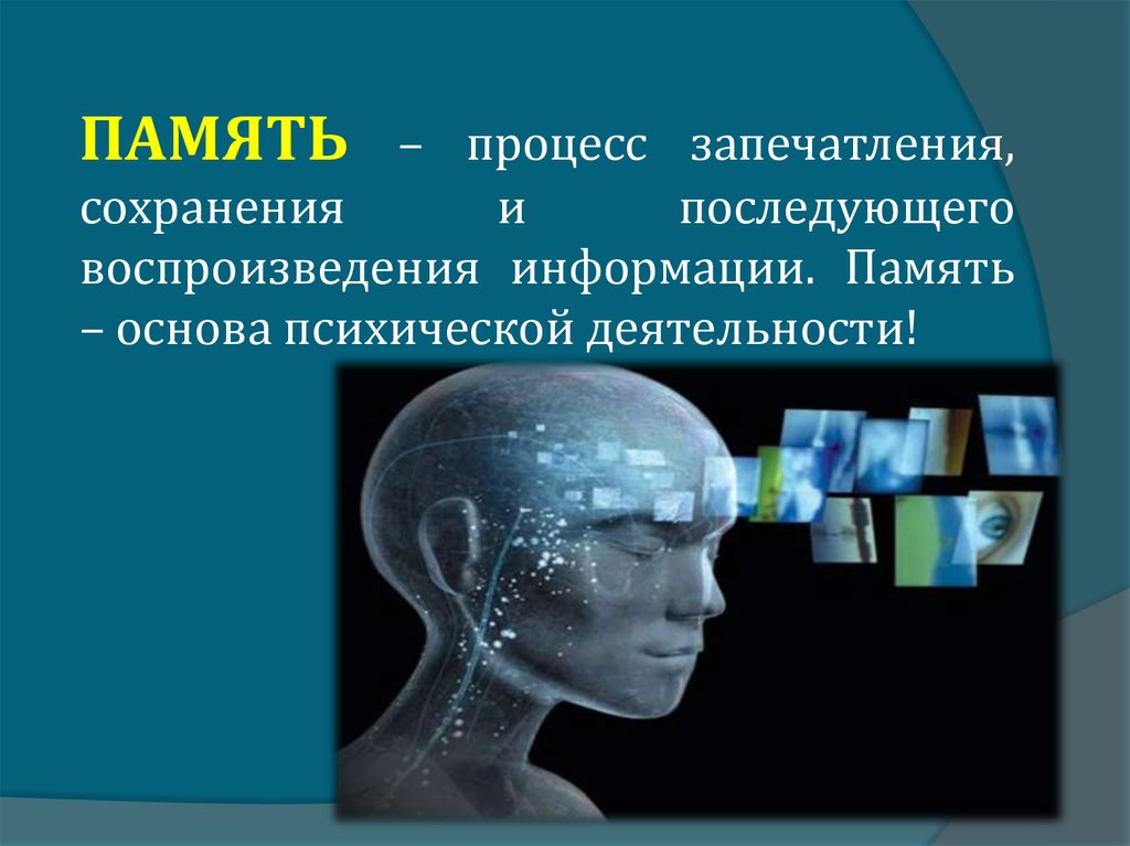 Кратковременная память это вид памяти обеспечивающий оперативное удержание