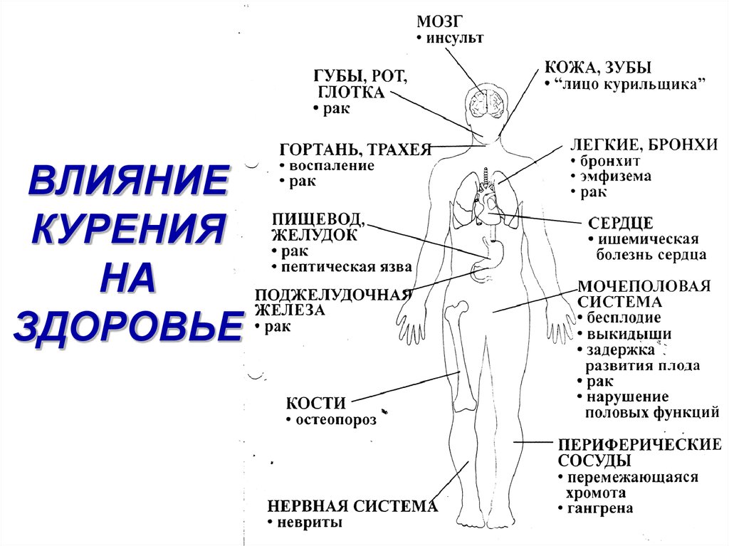 Презентация на тему влияние курения на организм подростка