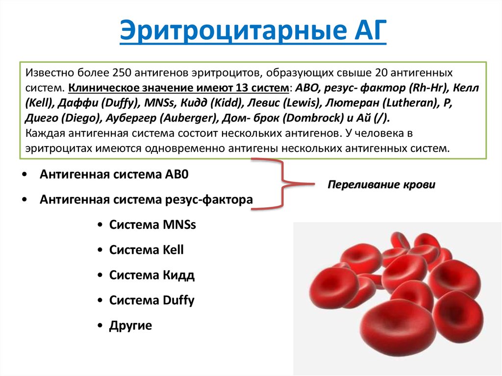 Если на эритроцитах обнаружен только антиген в исследуемый образец крови относится к группе