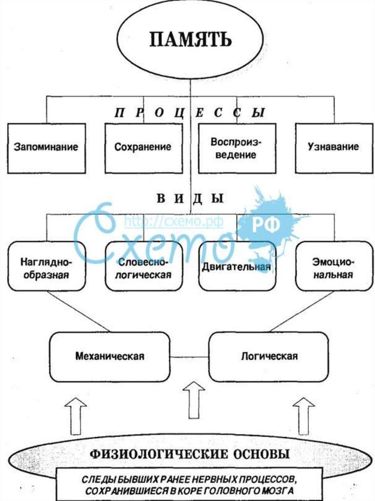 Виды памяти схема