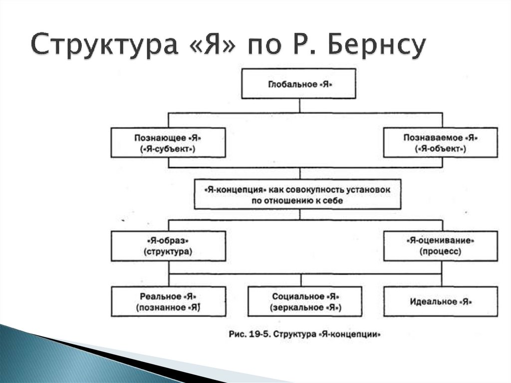 Я концепция образ я самооценка. Структура я-концепции (р. Бернс). Структура я-концепции по р Бернсу. Структура я концепции Бернс. Р Бернс я концепция.