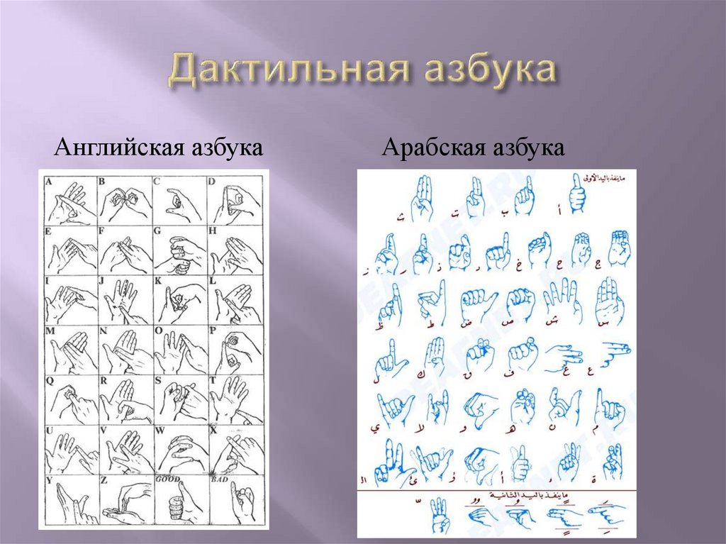 Дактильная азбука. Арабская дактильная Азбука. Английская дактильная Азбука. Дактильная Азбука (Азбука для глухонемых).