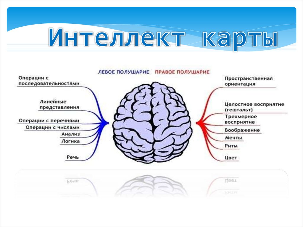 Карта правое полушарие