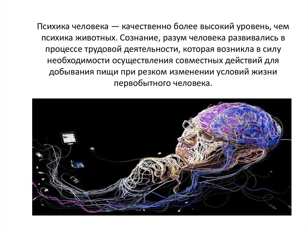 Мозг психика и поведение человека. Мозг и психика. Соотношение мозга и психики. Психика человека презентация.